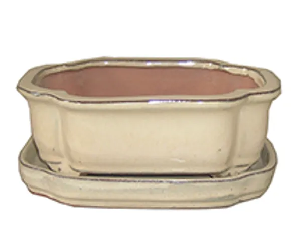 Ceramic Bonsai Pot with Saucer - Beige - Rectangle - 8" x 6.25" x 3" -  Hirt's Gardens