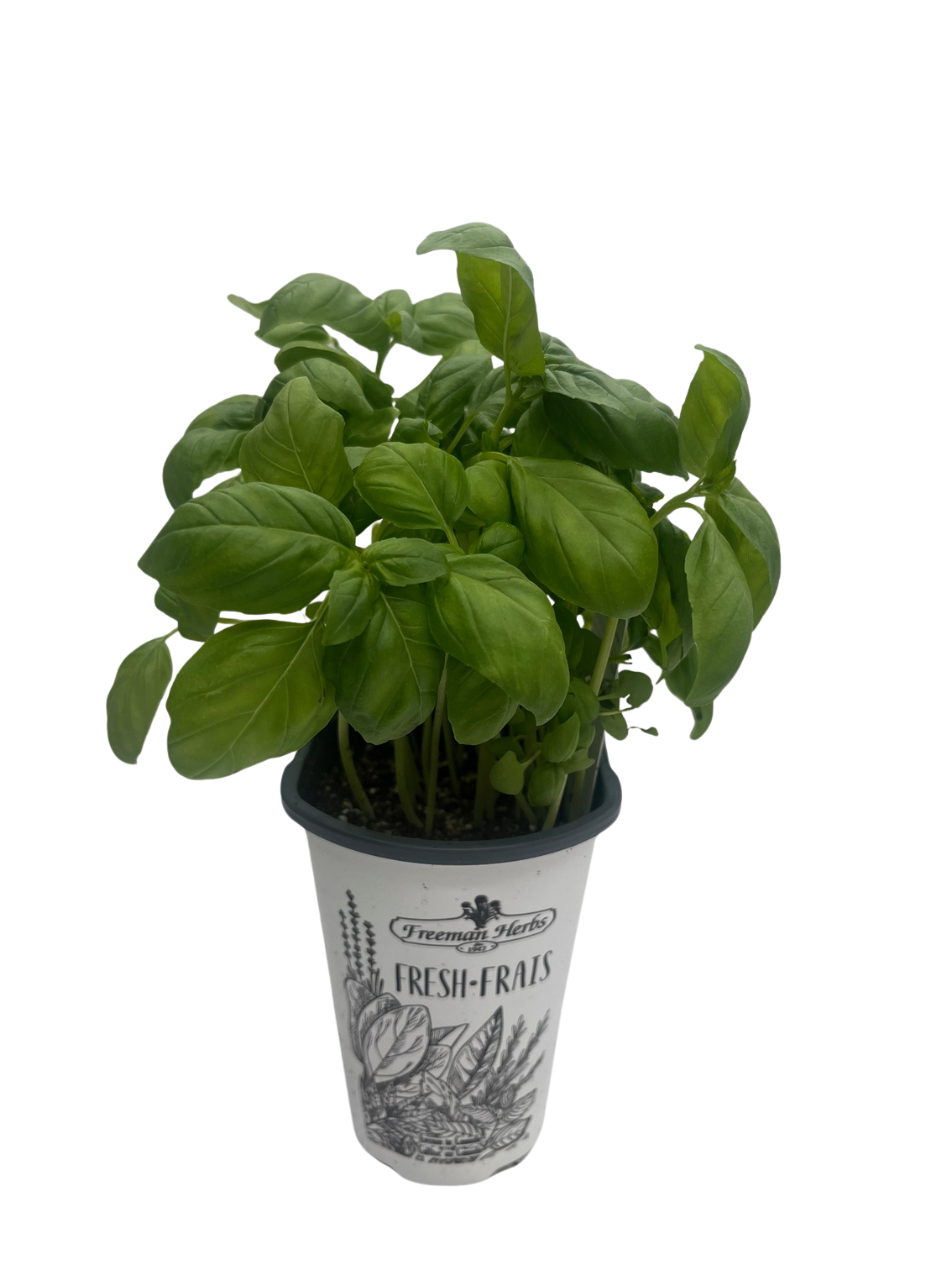 animal crossing plant pot Lloid Gyroid Planter  3DHotshop