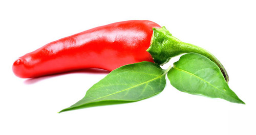 Goat Horn Hot Pepper - 20 Seeds - Hirt’s Gardens