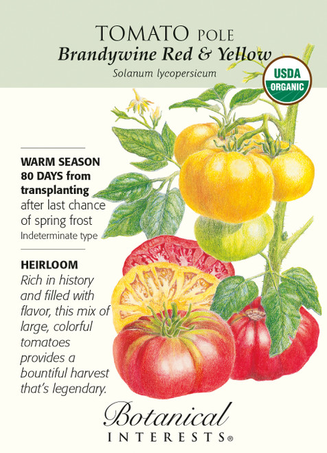 Yellow Brandywine' - (Non-GMO) - Tomato Seeds - (Heirloom) - 200mg