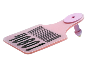 Catalog Only RFID Tags