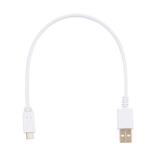 Bretford 12-Inch USB-C Cables | 10 Pack | For iPad | PSPCORD10A-C12