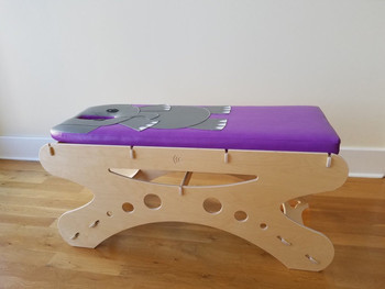 Elephant Pediatric Table