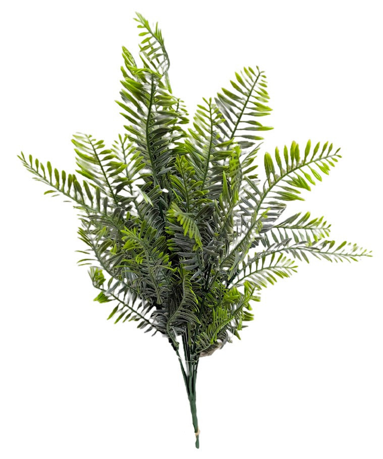 Fern Bush - Muted Green - Ben Franklin Online
