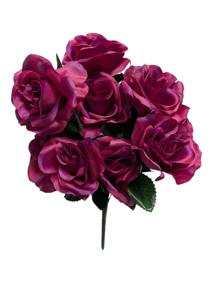 Colorfast Open Rose Bush - Fuchsia - Ben Franklin Online