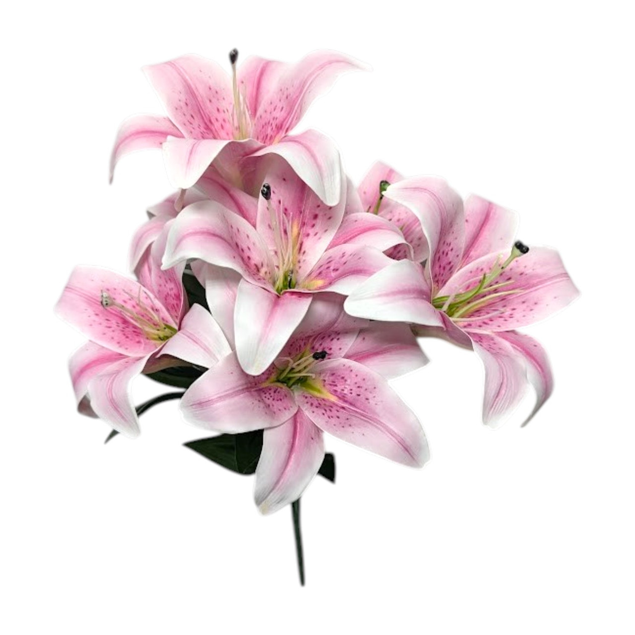 lily▼ページ Purple Tiger Lily Bush - Ben Franklin Online