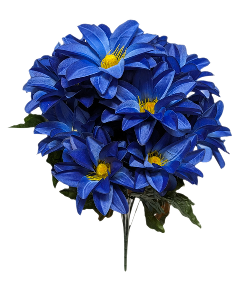 Blue Dahlia Bush