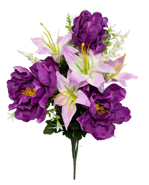 Purple Peony Lily Bush