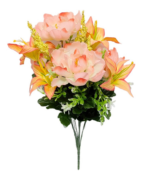 Peach Peony Lily Bush