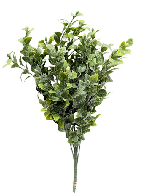 Rustic Olive Tea Leaf Bush - Ben Franklin Online