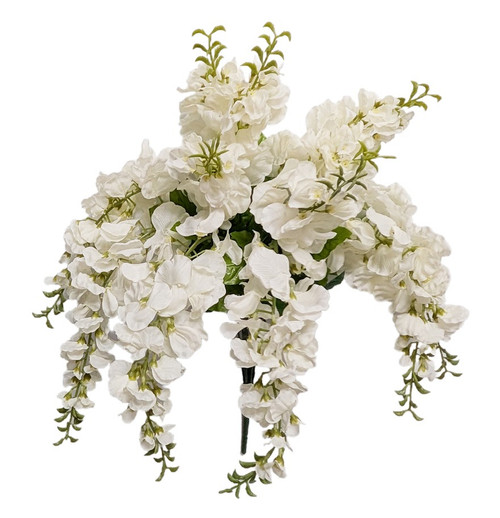 27" Cream Cascading Wisteria Bush 27" Cream Cascading Wisteria Bush