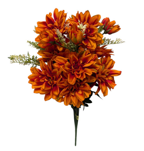 Burnt Orange Dahlia Mixed Bush