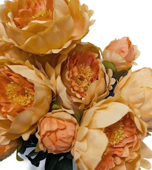 Full Peony Bush - Salmon Full Peony Bush - Salmon