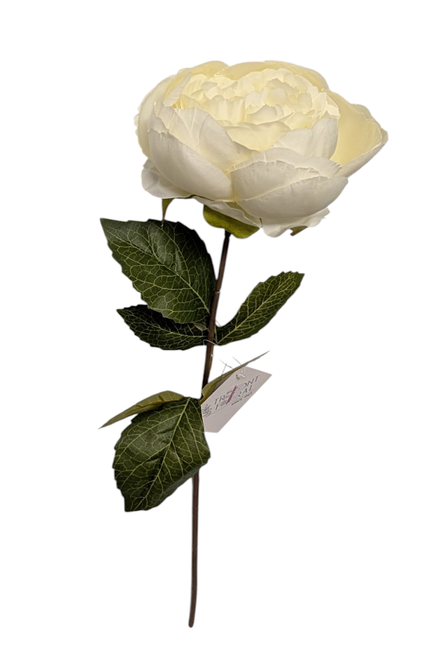 18" Peony Stem - Cream 18" Peony Stem - Cream