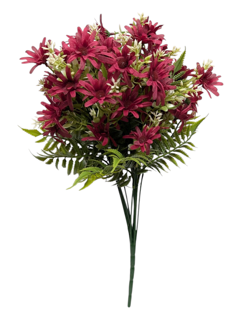 Burgundy Petite Daisies Bush Burgundy Petite Daisies Bush