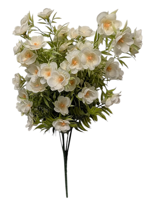 Cream Apple Blossom Bush Cream Apple Blossom Bush