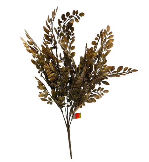 Hemlock Bush - Brown Hemlock Bush - Brown