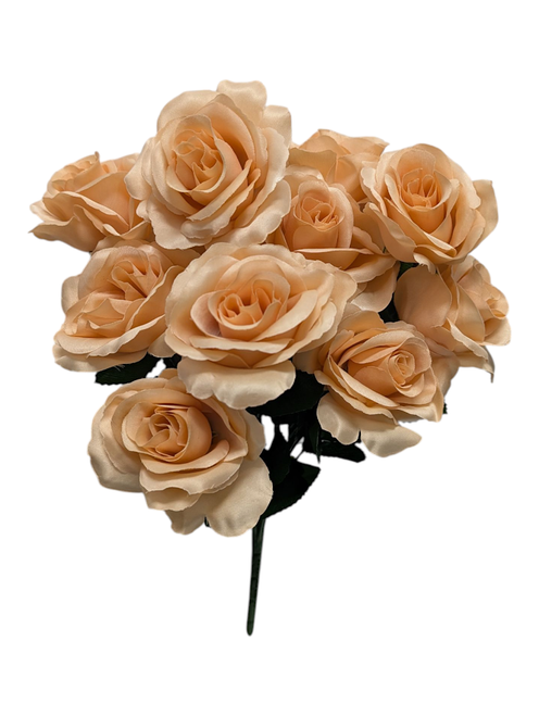 Colorfast Open Rose Bush - Wheat