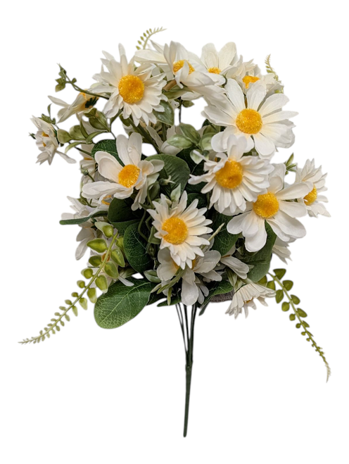 Cream Mixed Daisy Bush Cream Mixed Daisy Bush