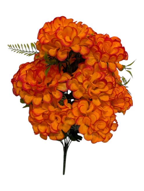 Fiery Orange Snowball Bush Fiery Orange Snowball Bush