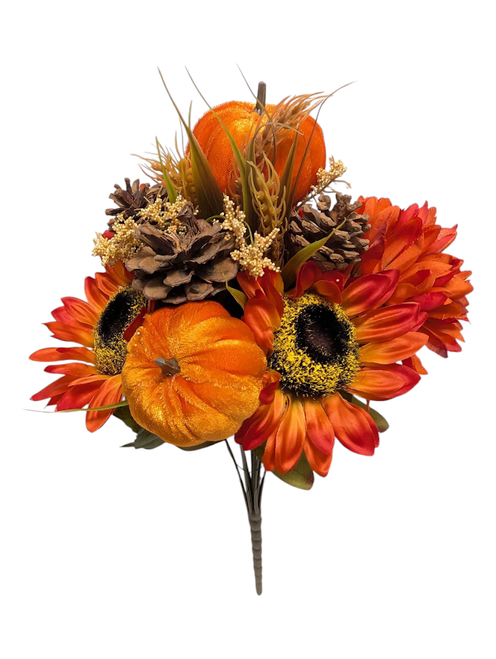 Orange Sunflower Ball Mum Pumpkin Bush Orange Sunflower Ball Mum Pumpkin Bush