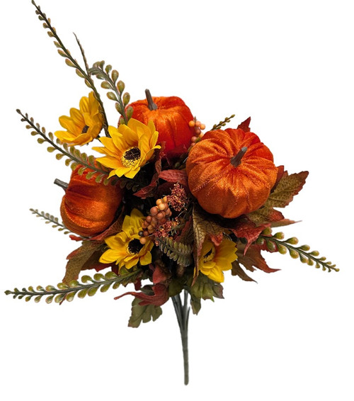 Pumpkin Sunflower Berry Bush Pumpkin Sunflower Berry Bush