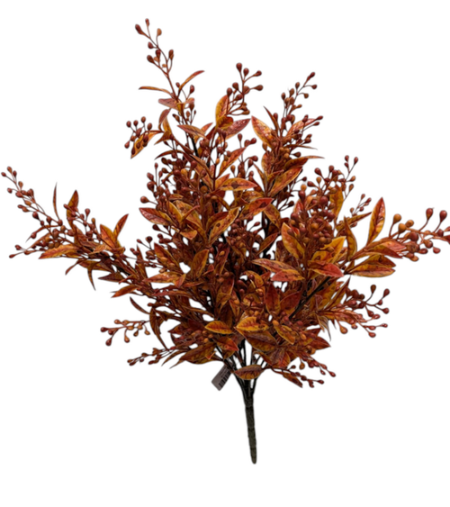 Rustic Orange Tea Leaf Bush Rustic Orange Tea Leaf Bush