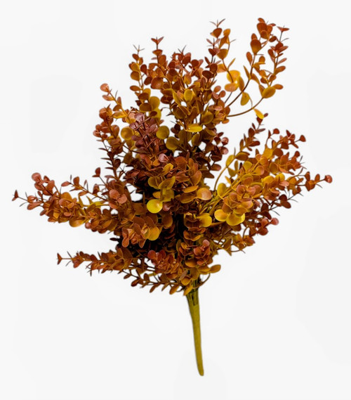 Autumn Eucalyptus Bush