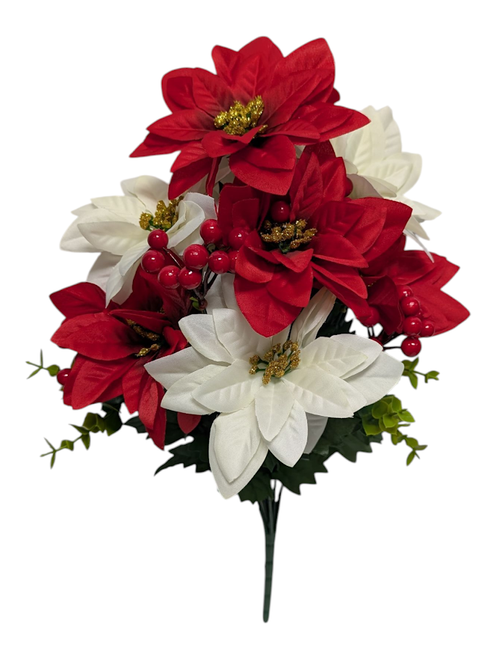 Red & Cream Poinsettia Berry Bush