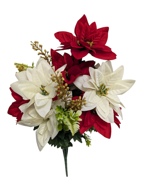 Red & Gold Mixed Poinsettia Bush Red & Gold Mixed Poinsettia Bush
