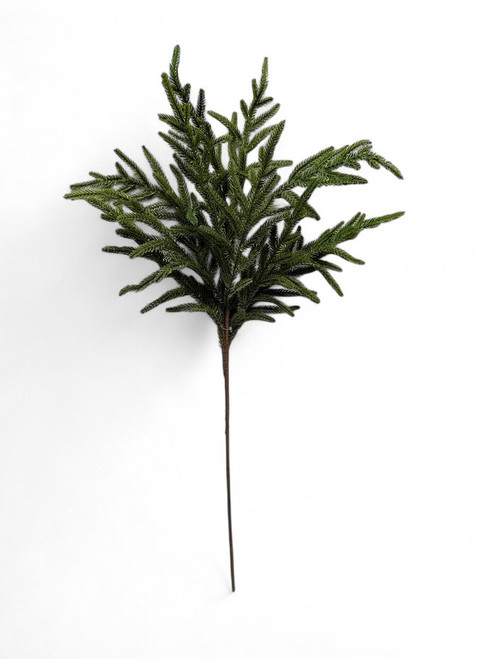 31" Norfolk Pine Pick 31" Norfolk Pine Pick