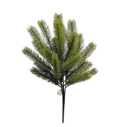 Angel Pine Bush Angel Pine Bush
