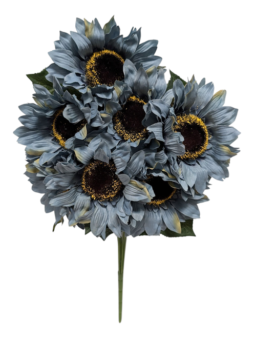 Dusty Blue Sunflowers Dusty Blue Sunflowers
