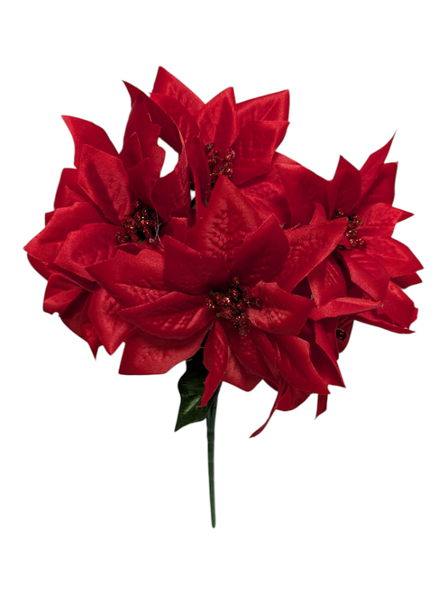 Small Red Poinsettia Bush Small Red Poinsettia Bush