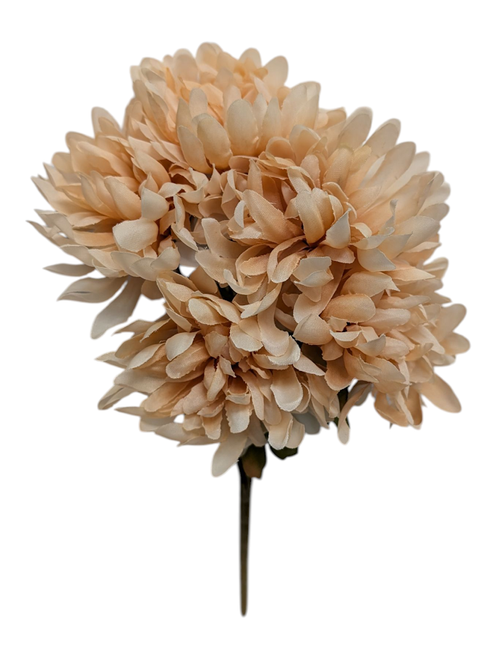 Small Beige Mums Small Beige Mums