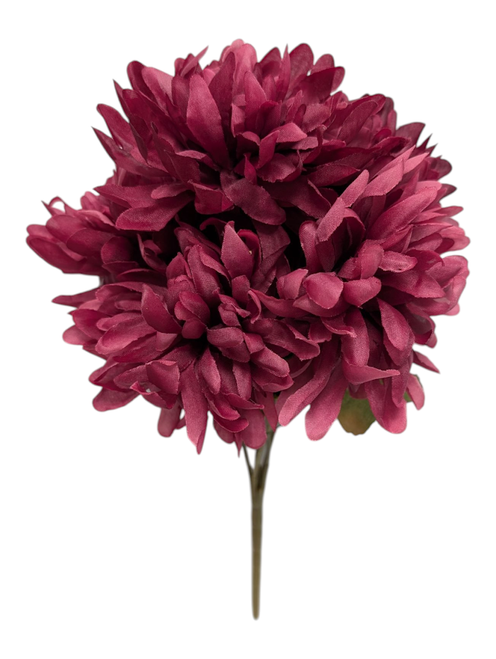 Small Raspberry Mums