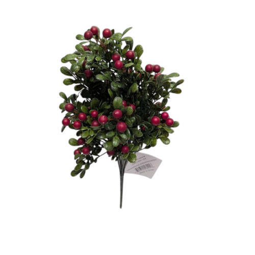 Boxwood Spray with Berries Boxwood Spray with Berries