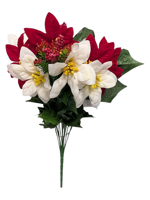 White & Red Poinsettia Bush White & Red Poinsettia Bush