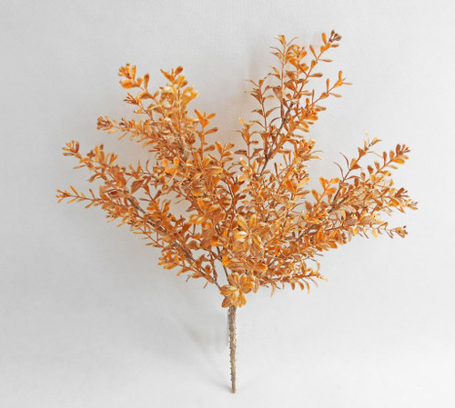 Autumn Boxwood Bush - Orange/Brown Autumn Boxwood Bush - Orange/Brown