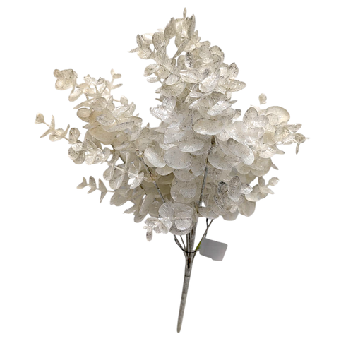 Glitter Eucalyptus Bush - Silvery White Glitter Eucalyptus Bush - Silvery White