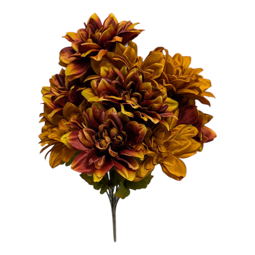 Shades of Brown Fall Dahlia Bush Shades of Brown Fall Dahlia Bush