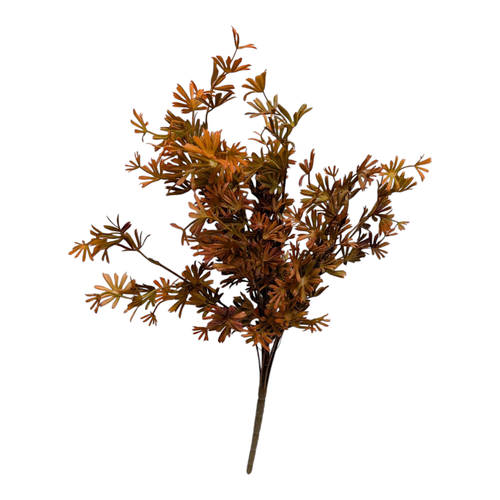 Star Fern Bush - Fall Mix Star Fern Bush - Fall Mix