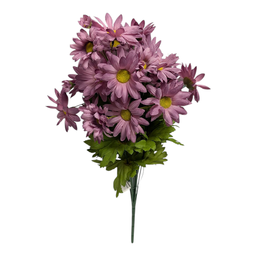 Dusty Purple Daisies