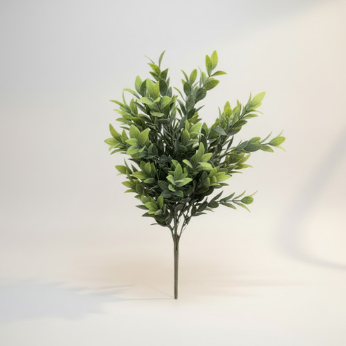 21" Ruscus Bush
