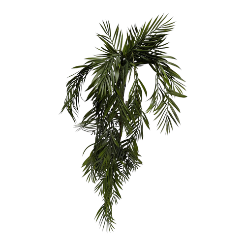 Long Leaf Hanging Bush Long Leaf Hanging Bush