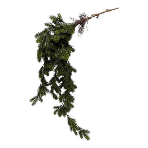 Pine Hanging Bush Pine Hanging Bush