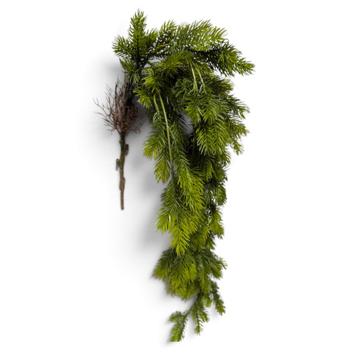 Pine Hanging Bush
