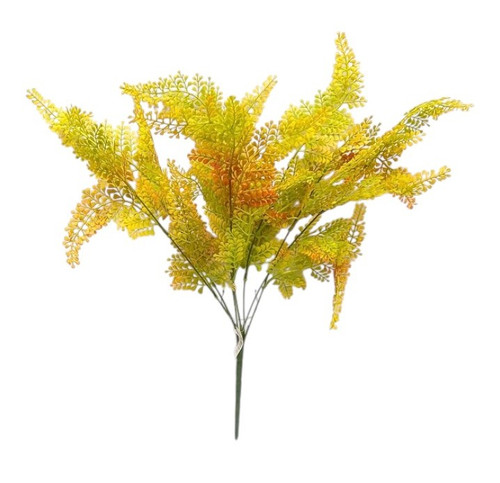 Maiden Hair Bush - Orange/Yellow Maiden Hair Bush - Orange/Yellow