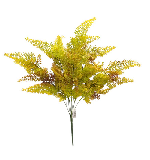 Maiden Hair Bush - Yellow/Brown Maiden Hair Bush - Yellow/Brown