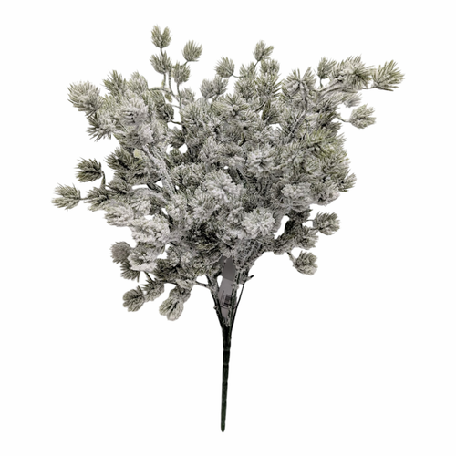 Snowy Greenery Bush - Scotch Pine Snowy Greenery Bush - Scotch Pine